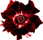 Exhibitor Logo